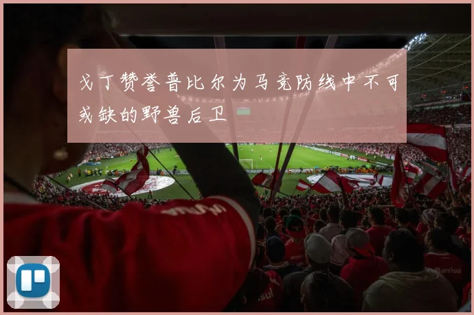 戈丁赞誉普比尔为马竞防线中不可或缺的野兽后卫